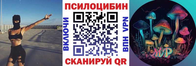 Псилоцибиновые грибы Psilocybe  Чита 